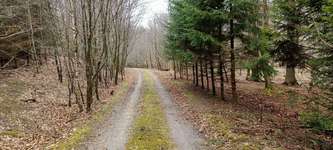 Hundeauslaufgebiet-Schmacht-Bild