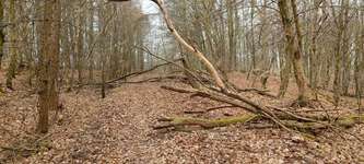 Hundeauslaufgebiet-Schmacht-Bild