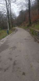 Hundeauslaufgebiet-Hardt-Anlagen-Bild