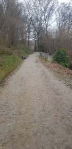 Hundeauslaufgebiet-Hardt-Anlagen-Bild