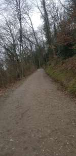 Hundeauslaufgebiet-Hardt-Anlagen-Bild