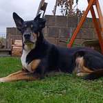 Ersteller:in Theresa Profilbild