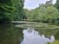 Hundeauslaufgebiet-Karlsberg Weiher-Bild
