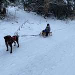 Ersteller:in Stefanie Profilbild