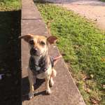 Ersteller:in Andrea Profilbild