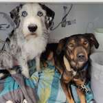 Ersteller:in Kathi Profilbild