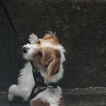 Ersteller:in Silke Profilbild