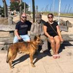 Ersteller:in Anna Profilbild