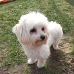 Ersteller:in Susanne Profilbild