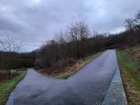 Hundeauslaufgebiet-Halde Großes Holz-Bild