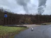 Hundeauslaufgebiet-Halde Großes Holz-Bild