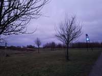 Hundeauslaufgebiet-Halde Großes Holz-Bild