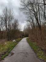 Hundeauslaufgebiet-Halde Großes Holz-Bild