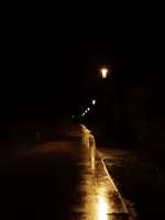 Hundeauslaufgebiet-Moselbachpark-Bild