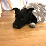 Ersteller:in Dana Profilbild