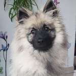 Ersteller:in Fam Profilbild