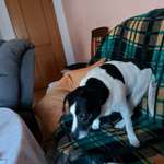 Ersteller:in Petra Profilbild