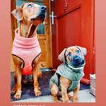 Ersteller:in Tine Profilbild