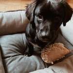 Ersteller:in Jenny Profilbild