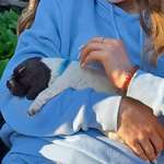 Ersteller:in Målin Profilbild