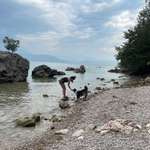 Ersteller:in Diana Profilbild