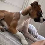 Ersteller:in Miray Profilbild