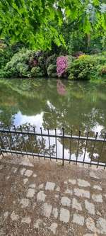 Hundeauslaufgebiet-Barmer Anlagen-Bild