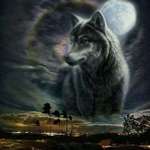 Ersteller:in Josh 🔥 Profilbild