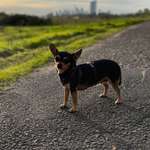 Ersteller:in Onur Profilbild