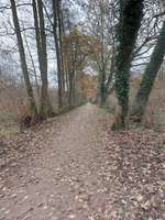 Hundeauslaufgebiet-Am Ölbach-Bild