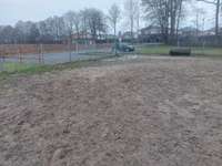 Hundeauslaufgebiet-Hundefreilauf der Gemeinde Hövelhof-Bild