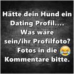 Hätte dein Hund ein Dating Profil, welches Profilbild hätte sie/er-Beitrag-Bild