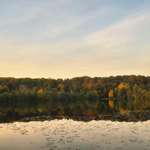 Hundeauslaufgebiet-Volksbad, Parkeisenbahn, Schellergrund und Neißeradweg-Bild