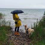 Ersteller:in Vivien Profilbild