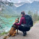 Ersteller:in Elli Profilbild