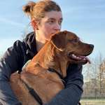 Ersteller:in Tina Profilbild