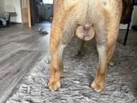 Bein angeschwollen-Beitrag-Bild