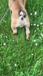 Bein angeschwollen-Beitrag-Bild