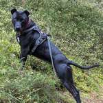 Ersteller:in Rocco Profilbild