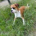 Ersteller:in Markus Profilbild