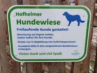 Hundeauslaufgebiet-Viehweide-Bild