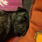 Ersteller:in H. Profilbild