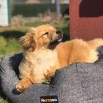 Ersteller:in Petra Profilbild