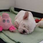 Ersteller:in Sven Profilbild