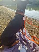 Hundeauslaufgebiet-Glörtalsperre-Bild