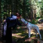 Ersteller:in Banz Profilbild