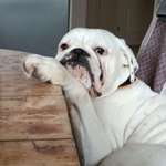 Ersteller:in Ramona Profilbild