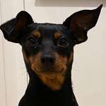 Ersteller:in Lena Profilbild