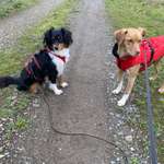 Ersteller:in Isabel Profilbild