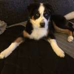 Ersteller:in Michael Profilbild